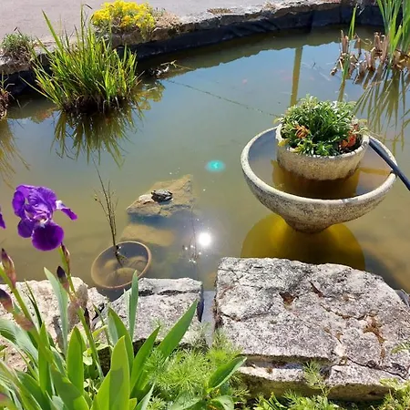 Le Moulin De L'etang 3*