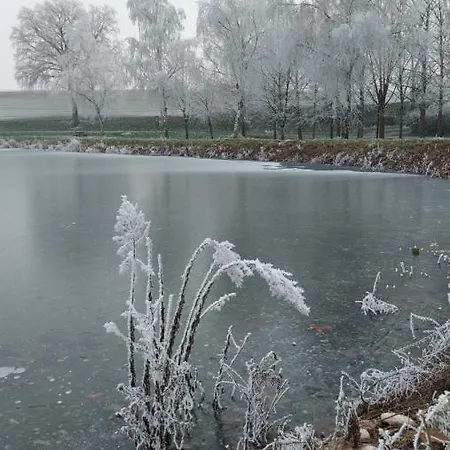 Le Moulin De L'etang 招待所 3*
