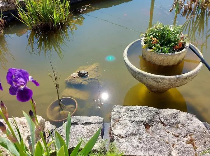 Le Moulin De L'etang 3*