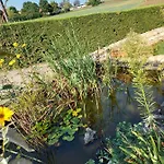 Le Moulin De L'etang 게스트하우스 Chaneins