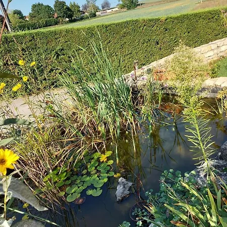 Le Moulin De L'etang Penzion Chaneins